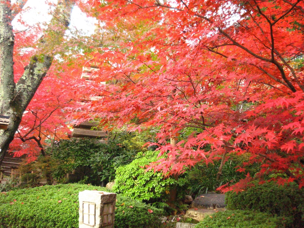 Ryokan Nenrinbo 39/50