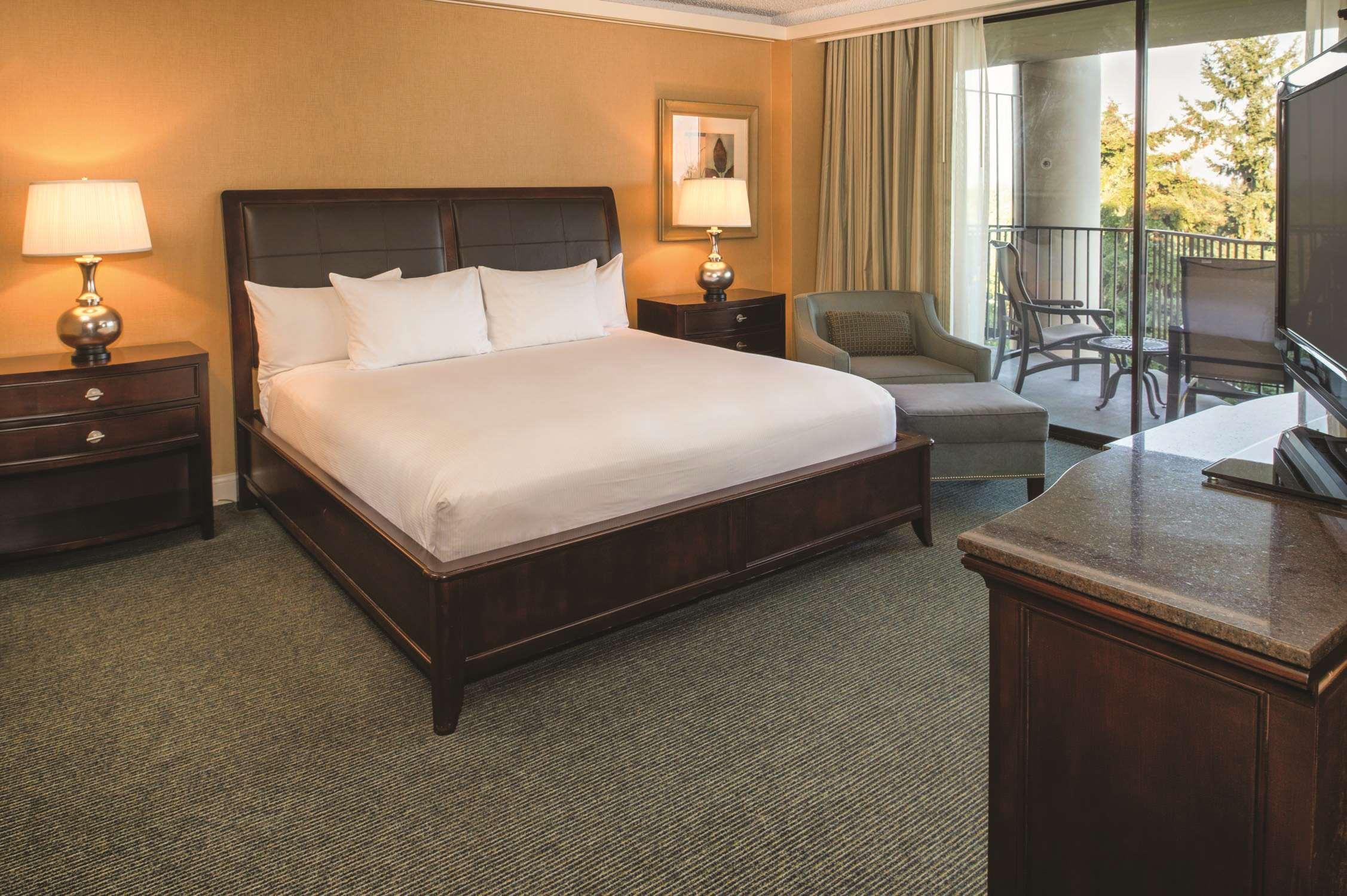 SUITE, KING BED, MOUNTAIN VIEW, LIVING AREA