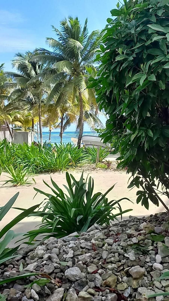 Palmeras de Mahahual Cabanas 30/39