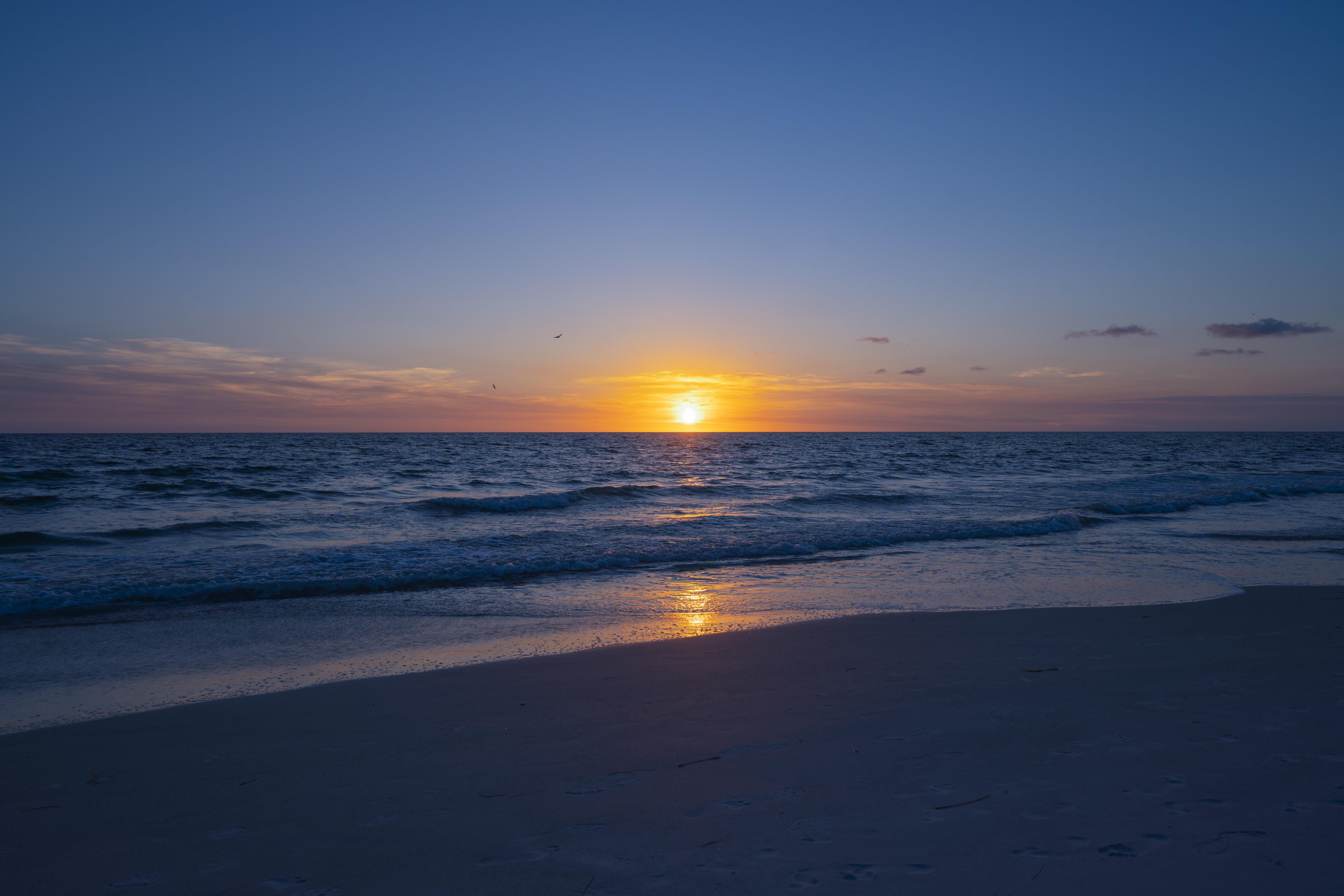 Holiday Inn & Suites Clearwater Beach S-harbourside 123/130