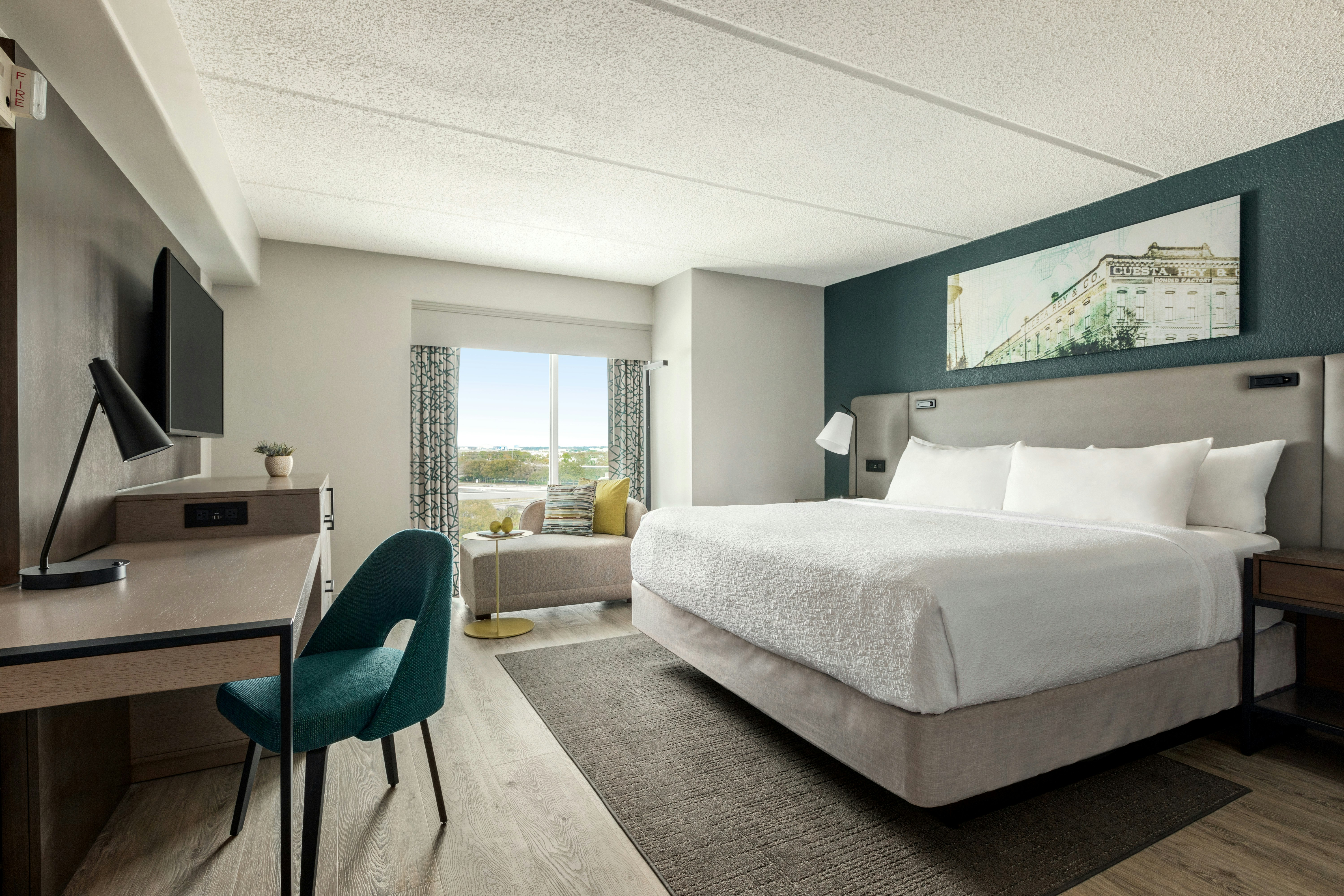 Hotel Alba Tampa Tapestry Collection By Hilton 25/64