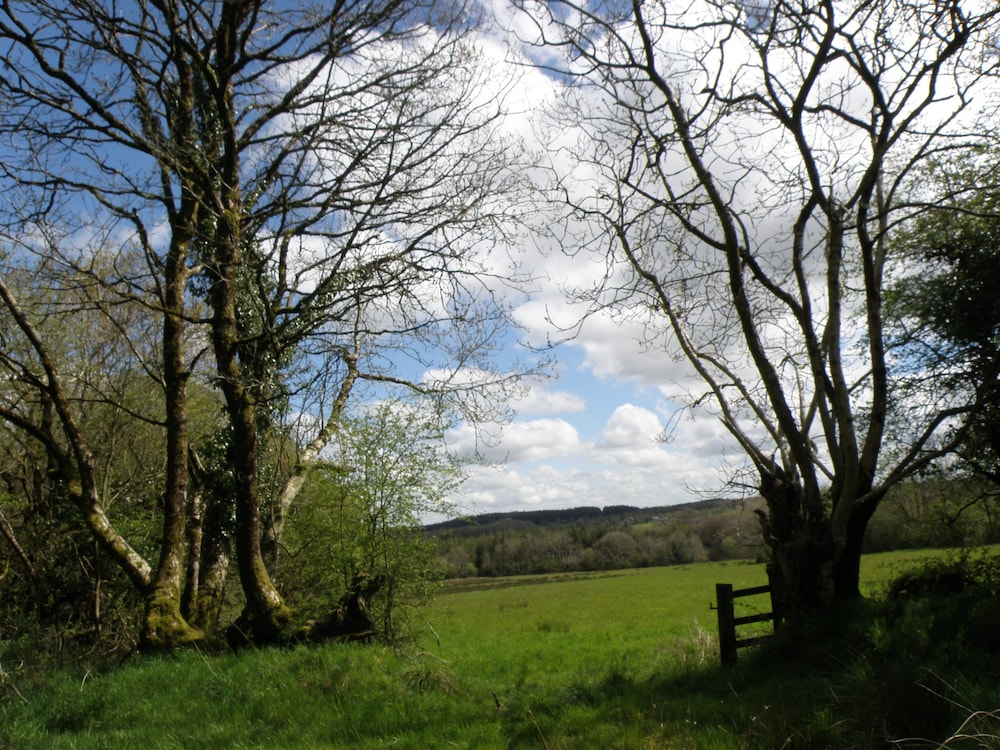Hay Meadow Farm 37/50