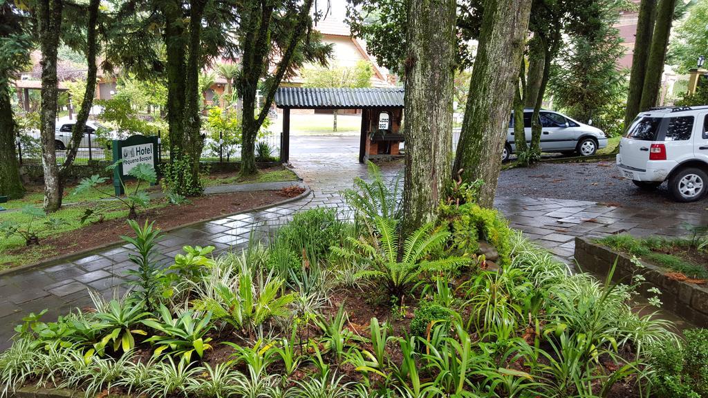 Hotel Pequeno Bosque 16/19
