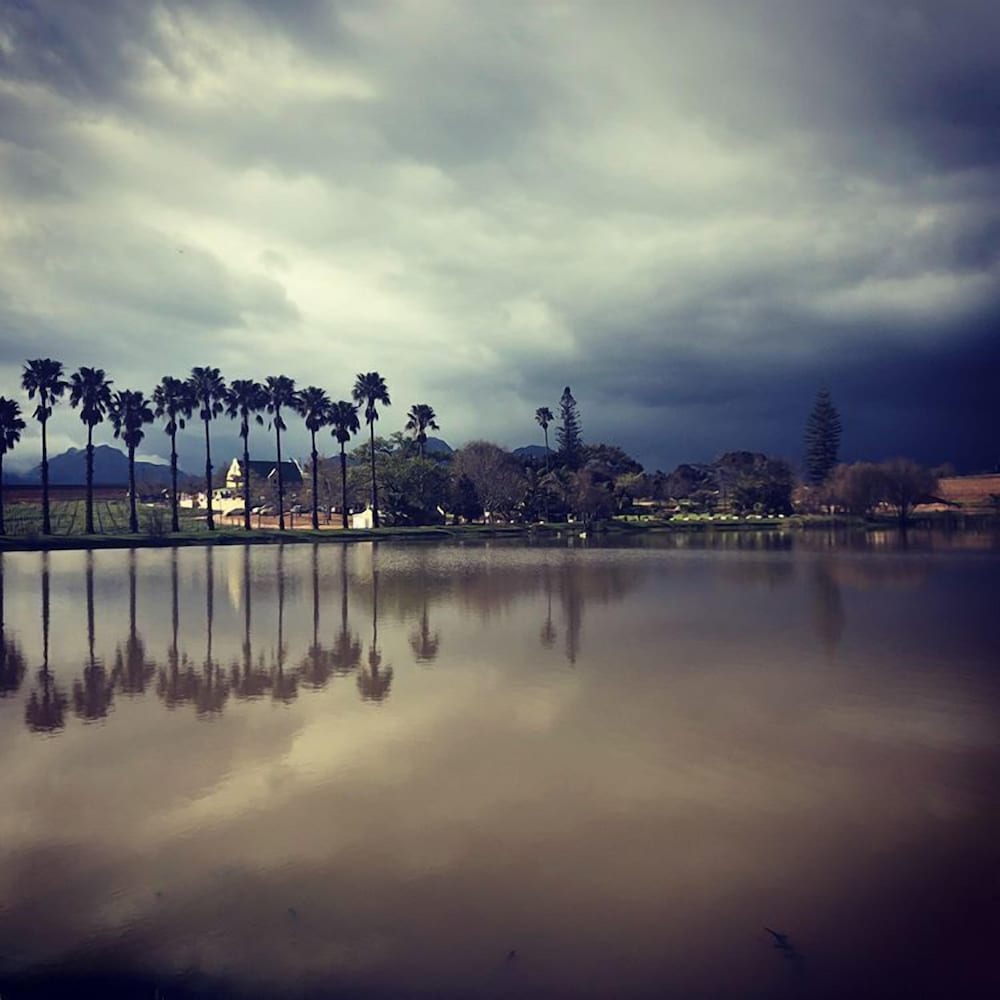 Skilpadvlei Wine Farm 27/46