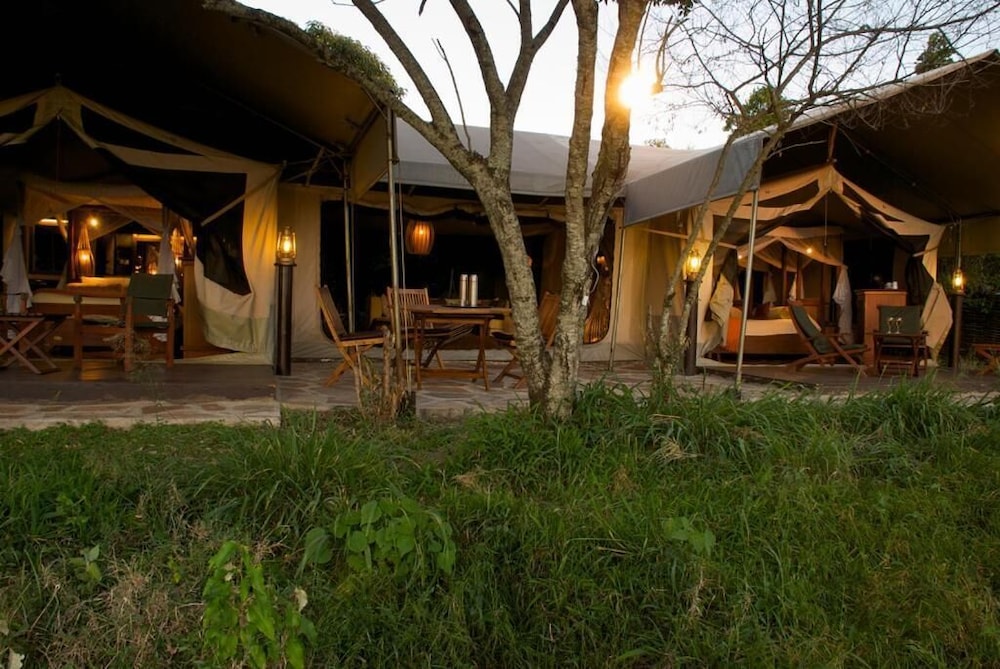 Mara Intrepids Tented Camp 35/49