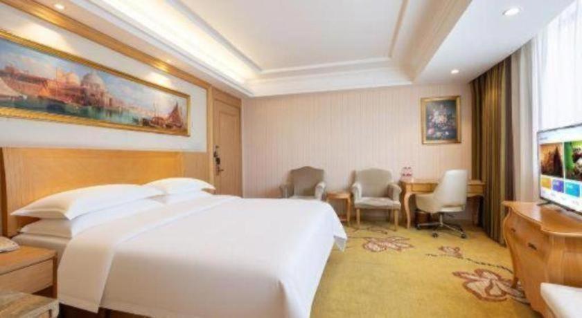 Vienna Hotel (Guangzhou Baiyun Airport Huadu Avenue) 27/58
