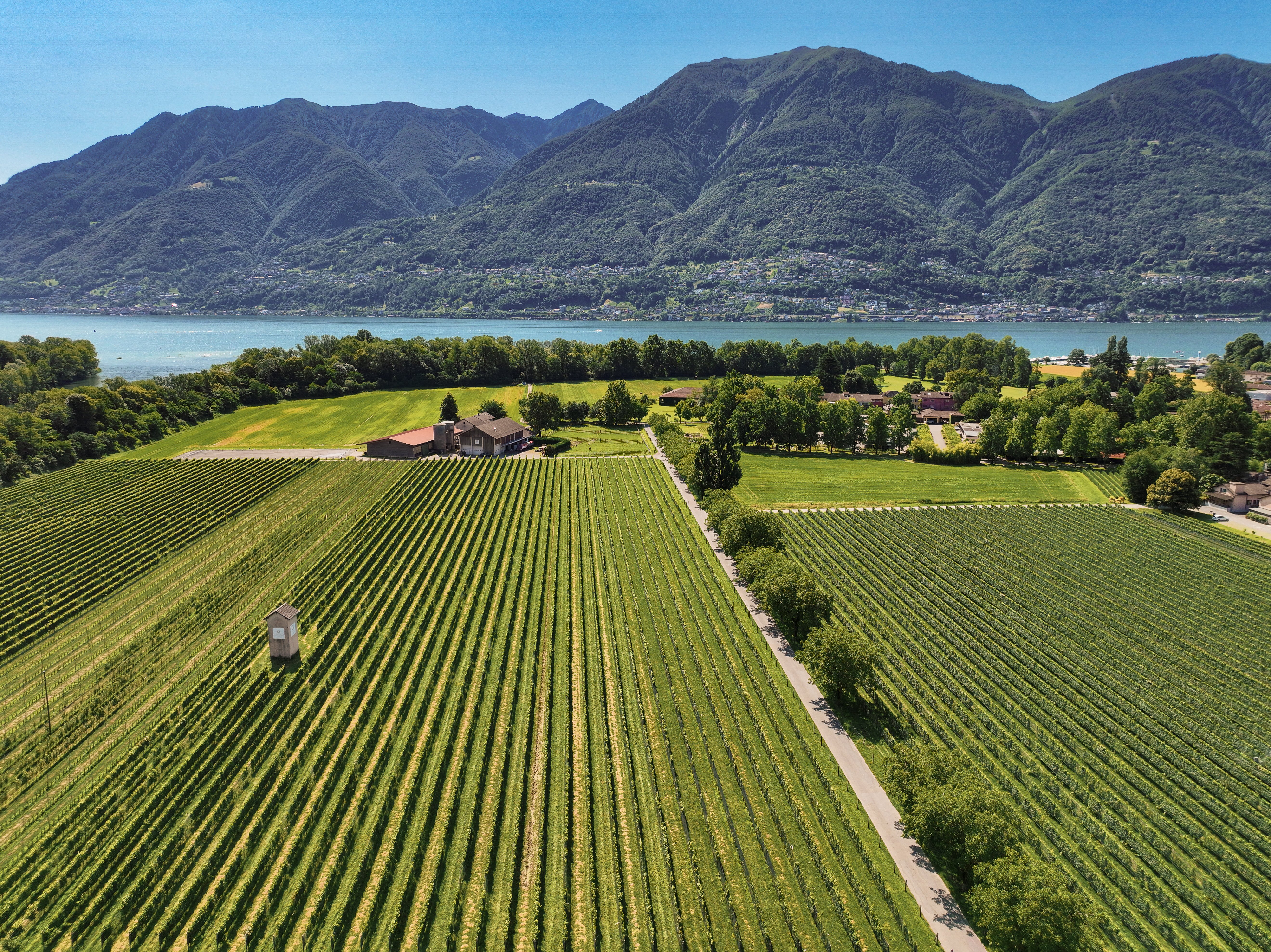 Castello Del Sole Ascona 45/50