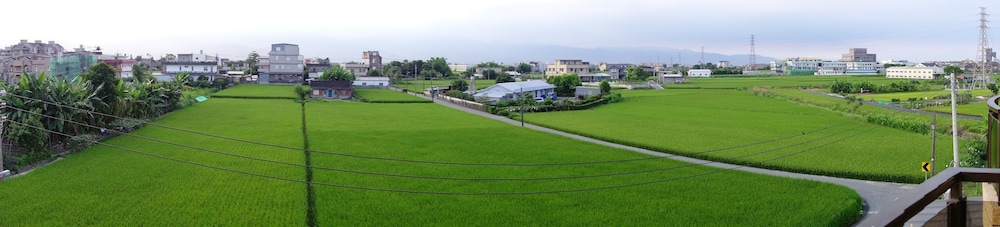 Green Field & Sunshine 23/41