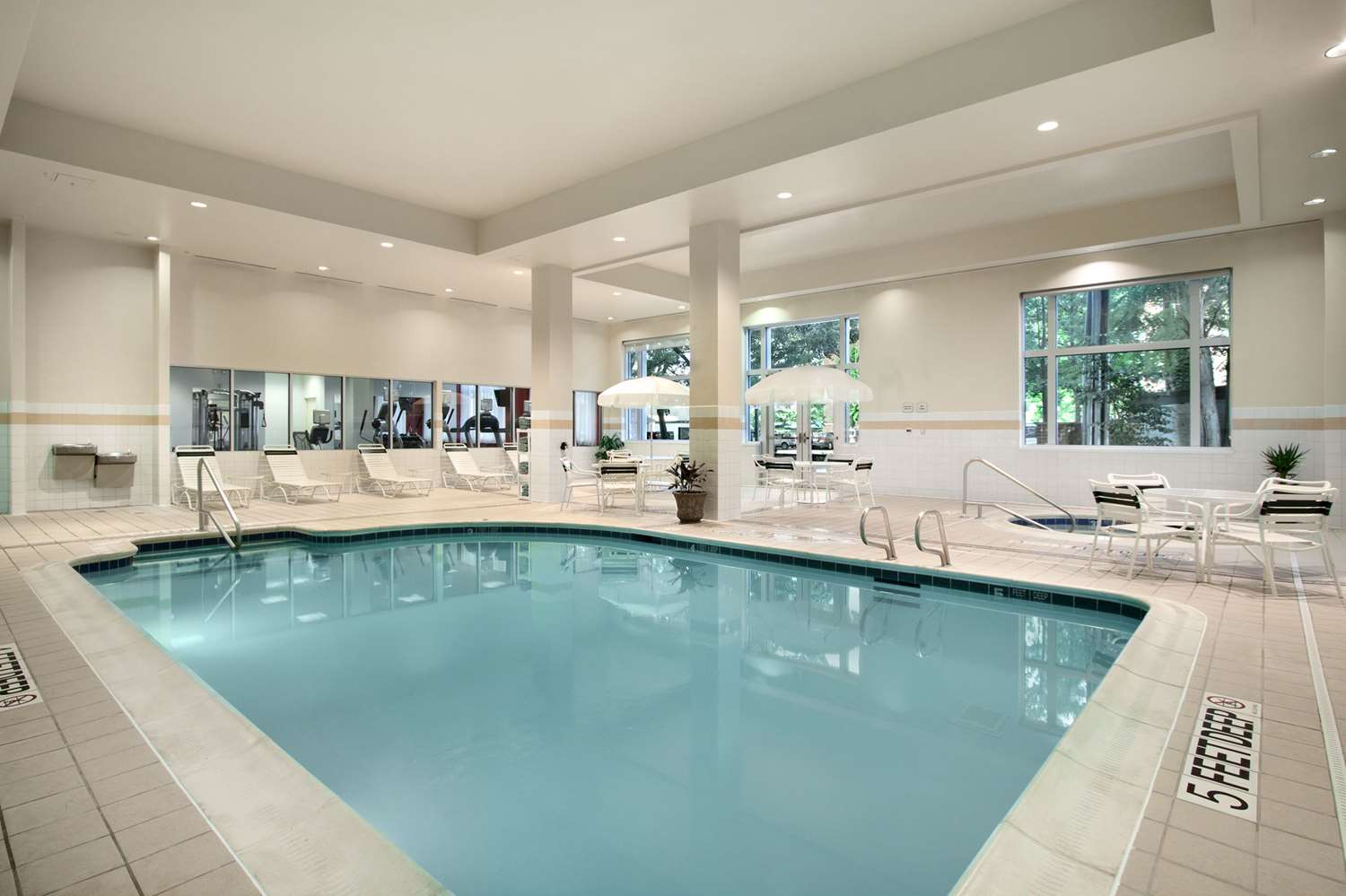 swimming pool spa
