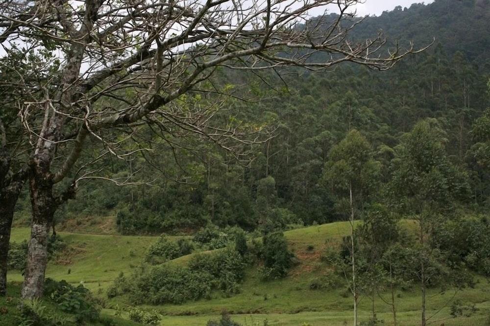 Wild Elephant Eco Friendly Resort 27/32