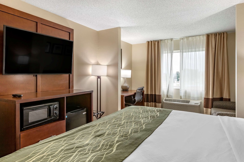 Comfort Inn Suites Dimondale Lansing 14/35