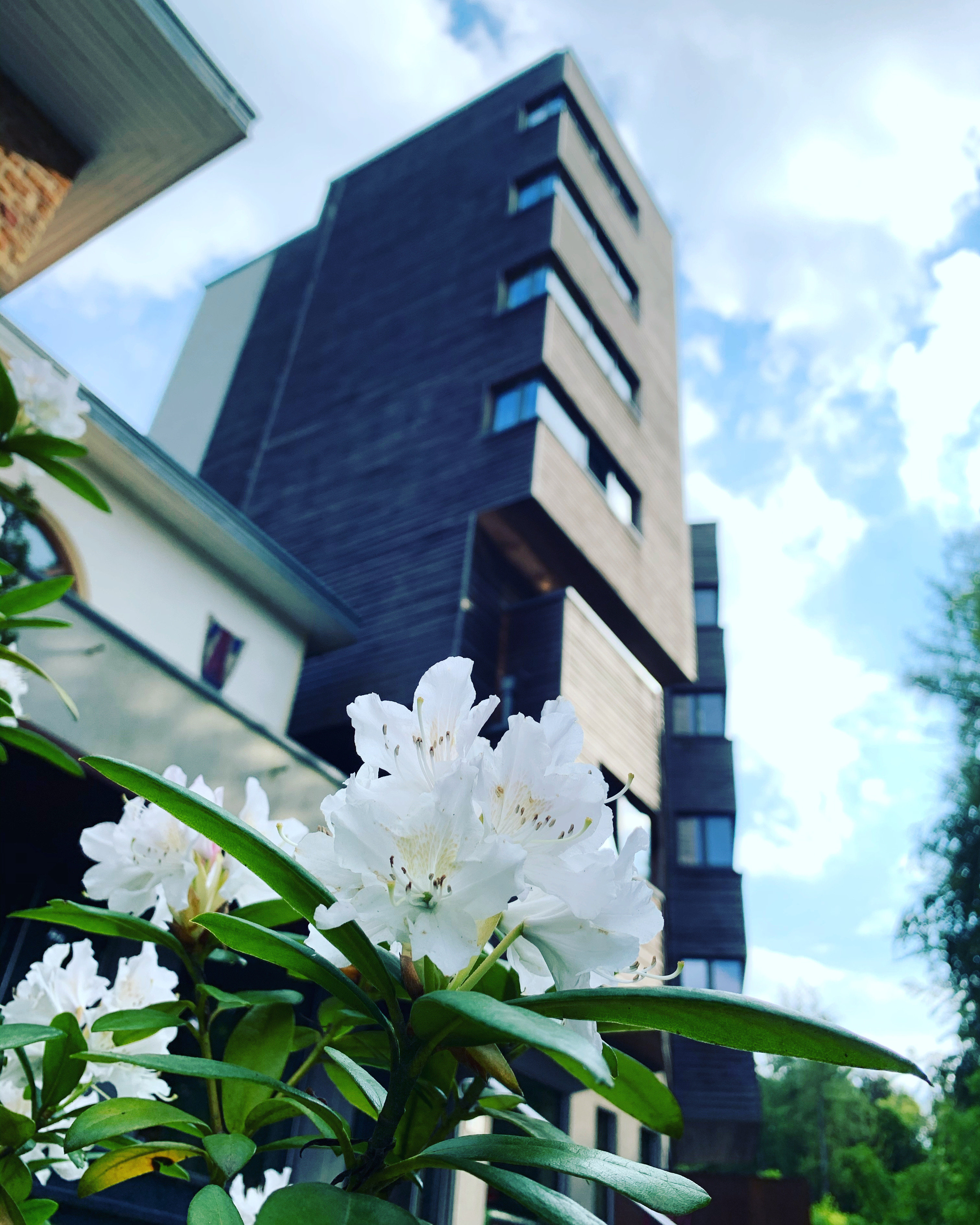 THE SEVEN HOTEL 2/48
