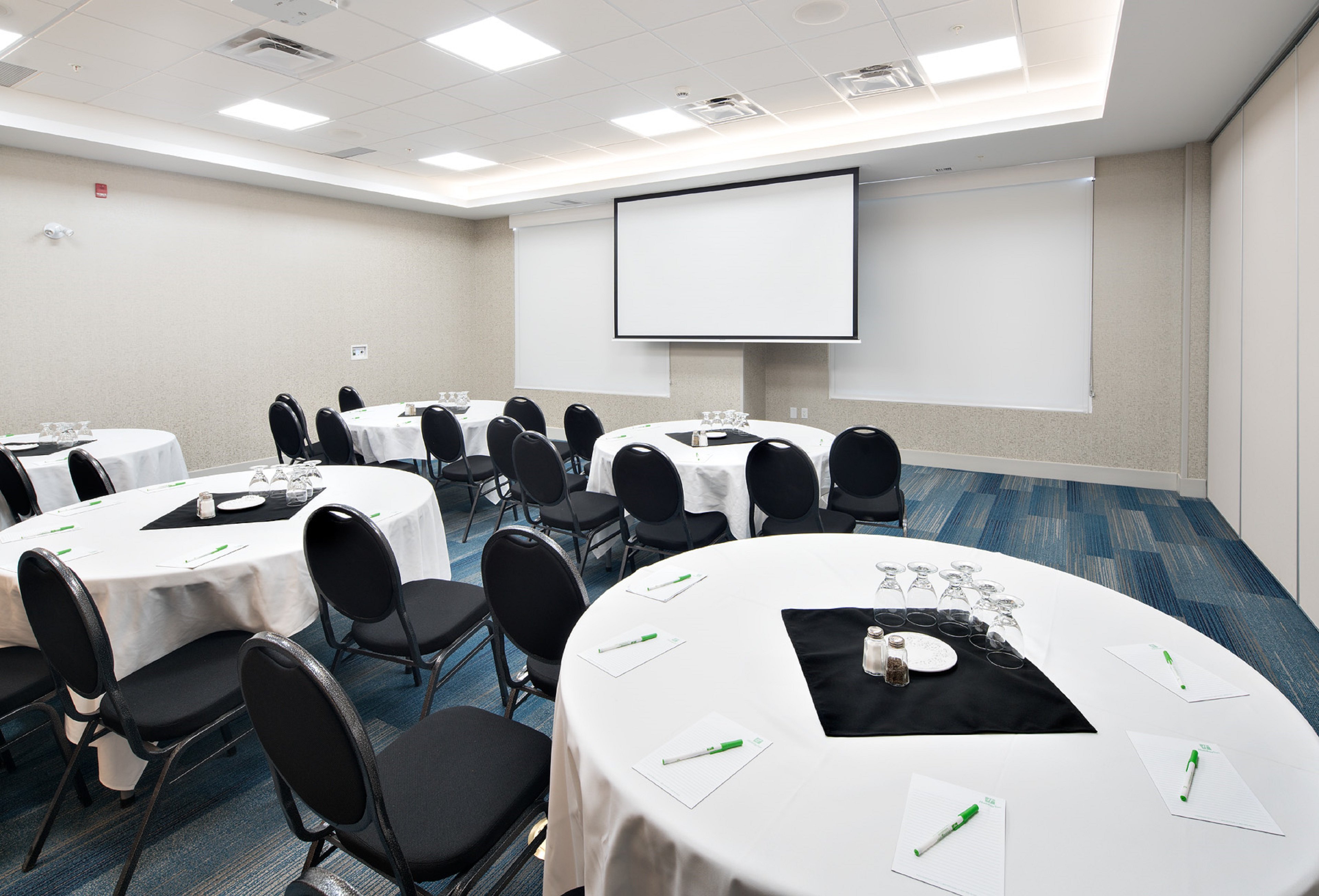 HOLIDAY INN EXPRESS RED DEER NORTH 29/38