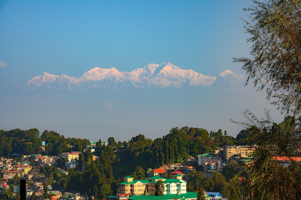 Sinclairs Darjeeling 46/50