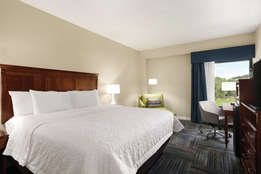 Hampton Inn Atlanta Stone Mountain 11/41