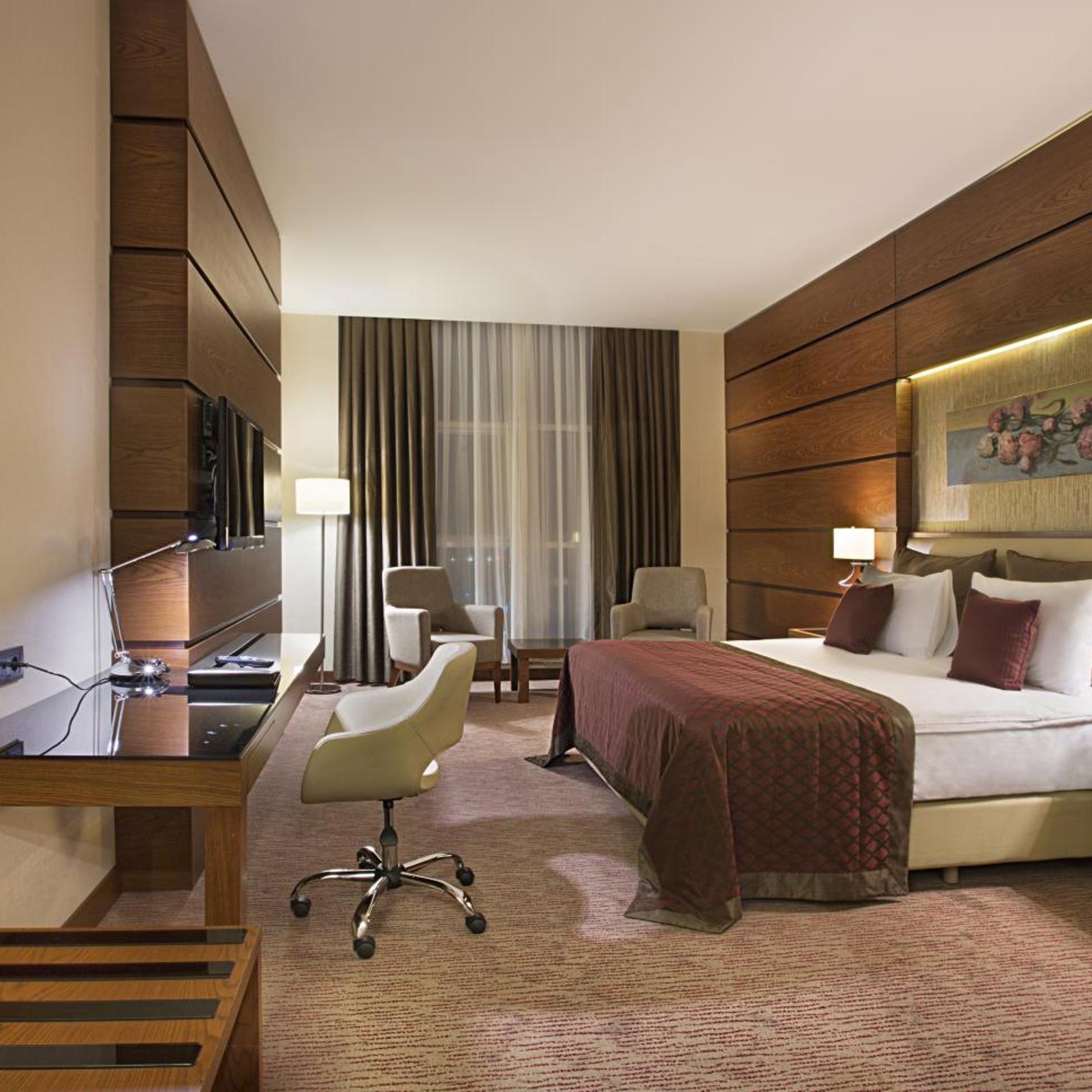 Dedeman Erbil Hotel 20/64