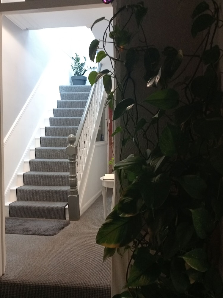 Ambassador Guesthouse 5/50
