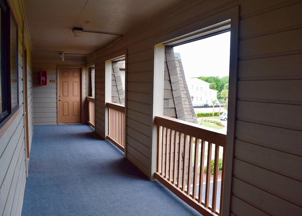 Ocean Forest Colony 20/54