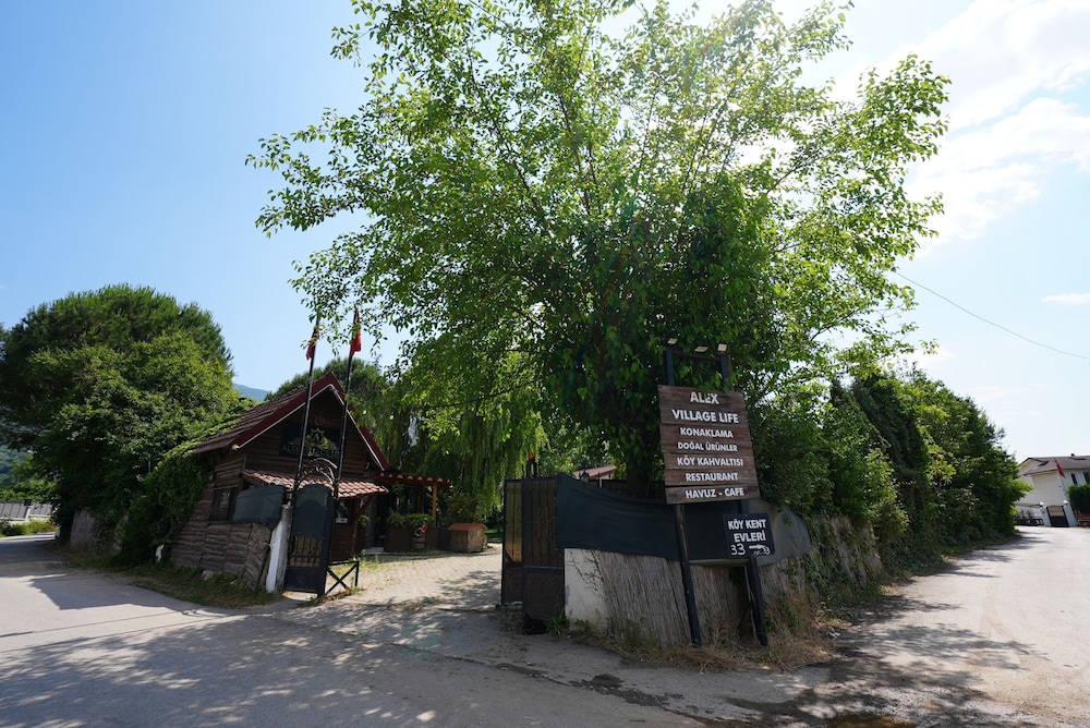 Alex Village Life 37/50