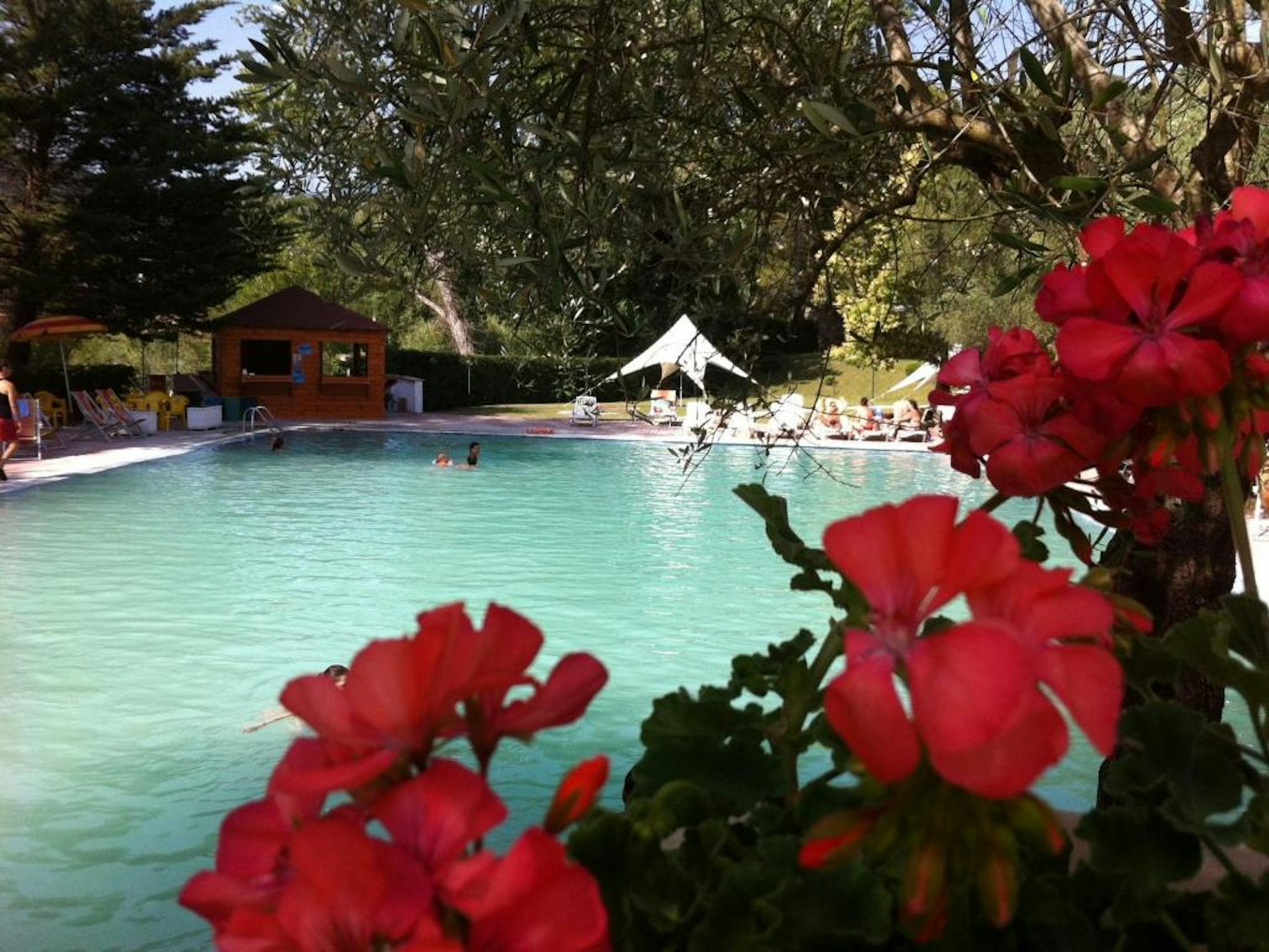 Hotel Terme Forlenza 11/17