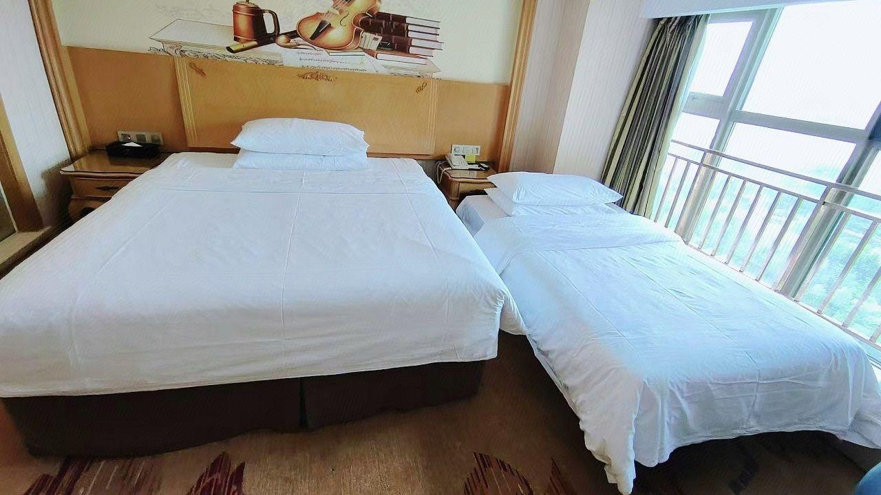 Vienna International Hotel (Wuhan Polar Ocean World) 25/50