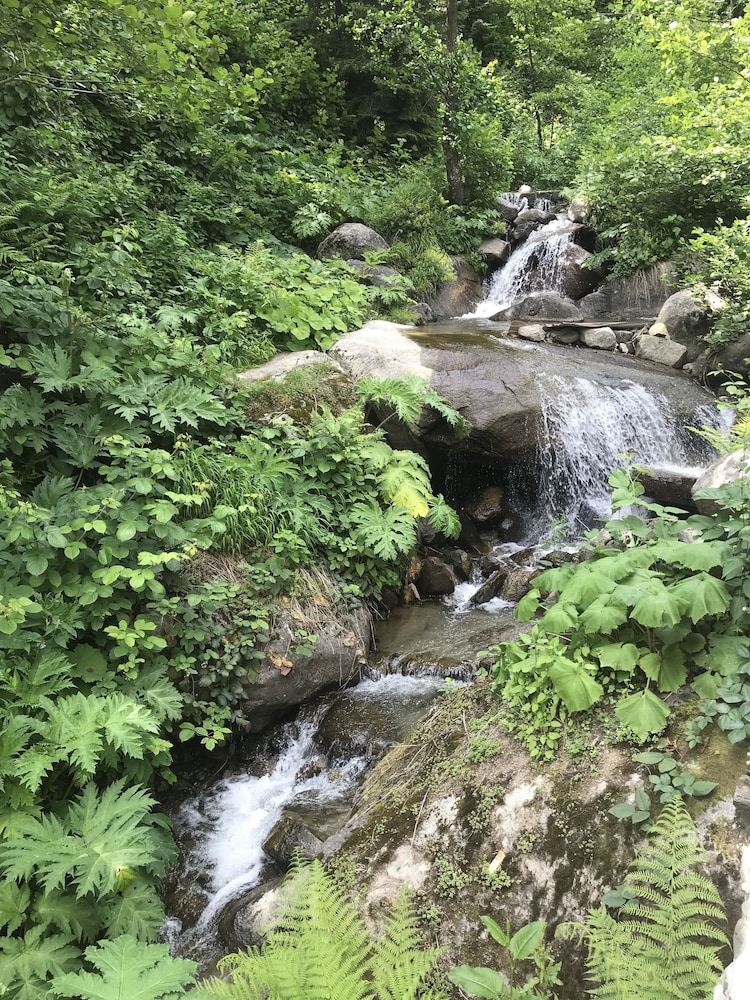 Ayder Selale Dag Evi 39/50
