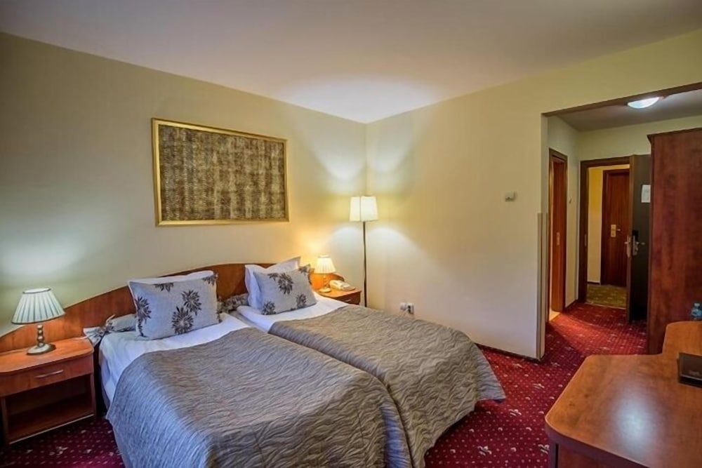Hotel Rina Sinaia 4/50