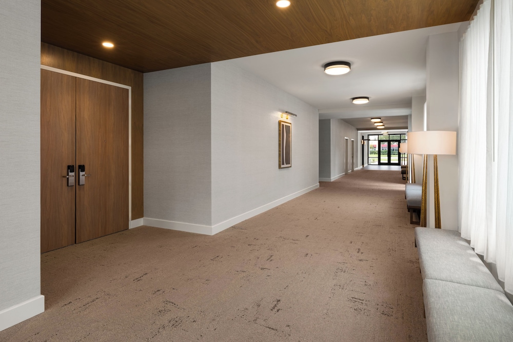 Staybridge Suites Orlando Universal Blvd By Ihg 43/50