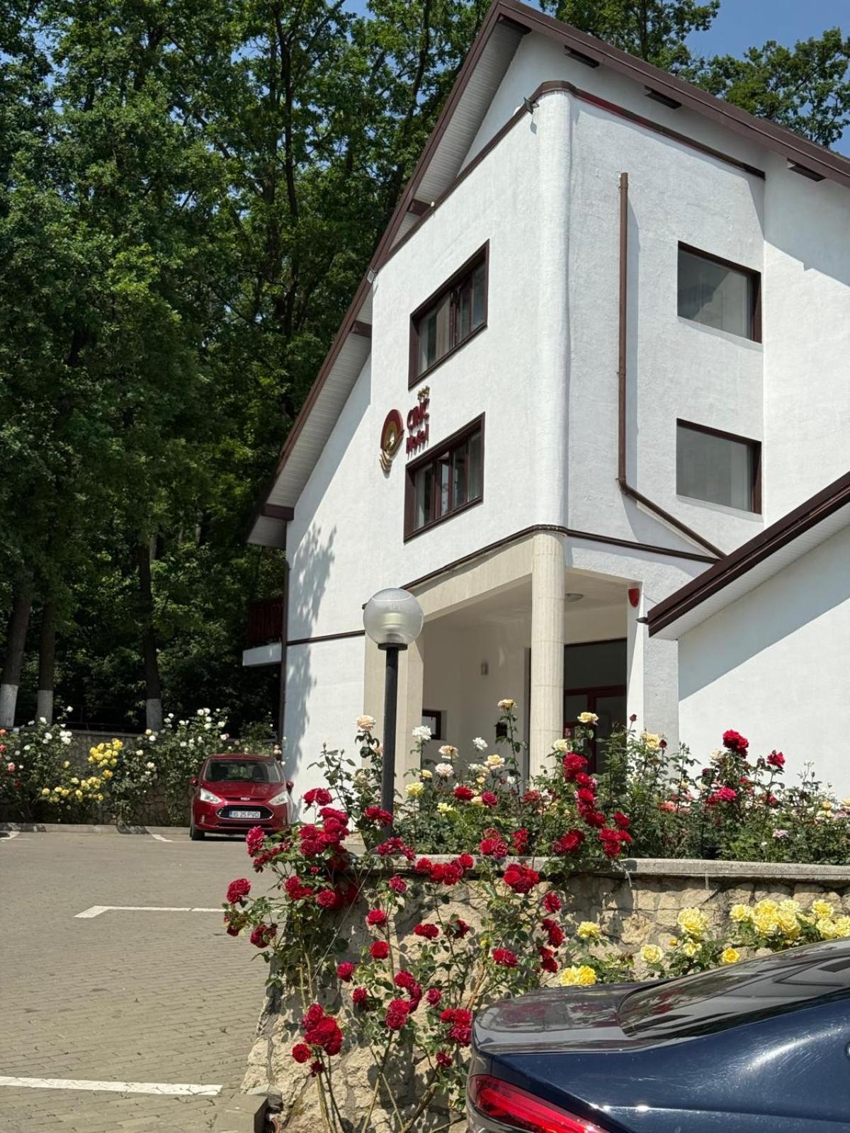 Ciric Hotel 3/46