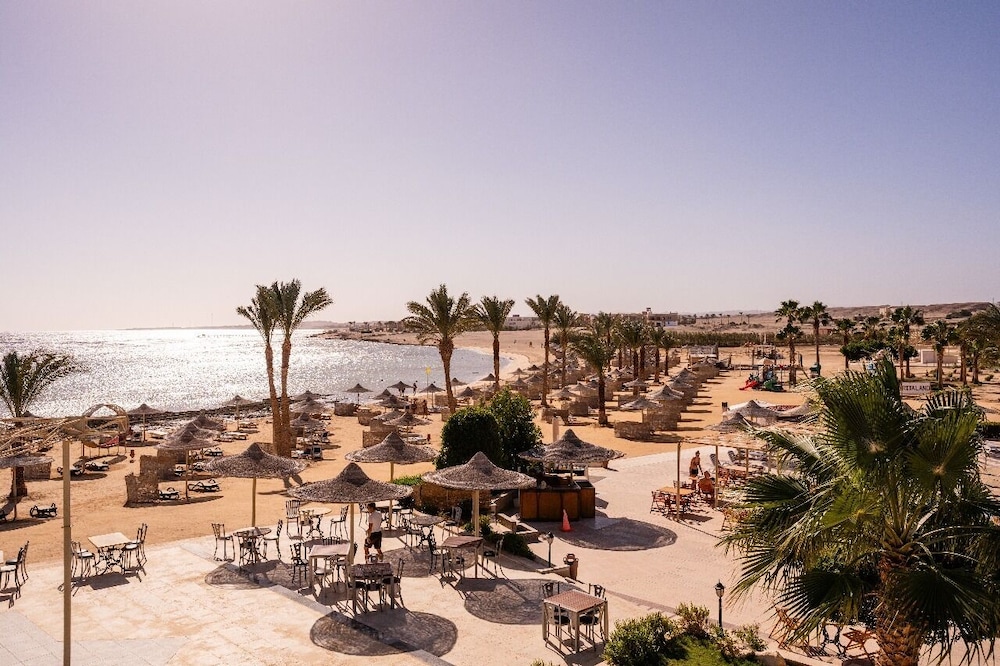 Shoni Bay 47/50