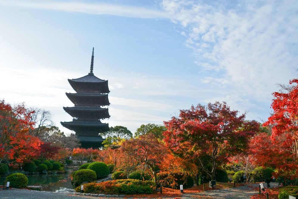 Kyoto Stay Sakura Toji South 2 41/46