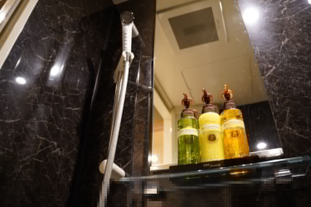 Welina Hotel Premier Shinsaibashi 45/61
