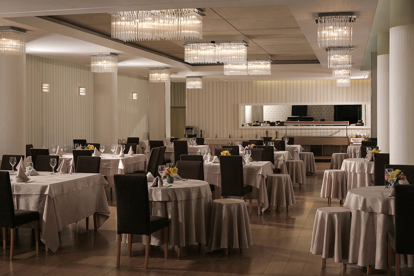 Reghina Blue Hotel Timisoara 13/19