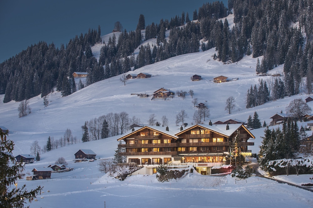 Hotel Le Grand Chalet 1/50