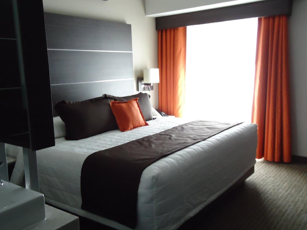 Hotel Real Alameda 9/36