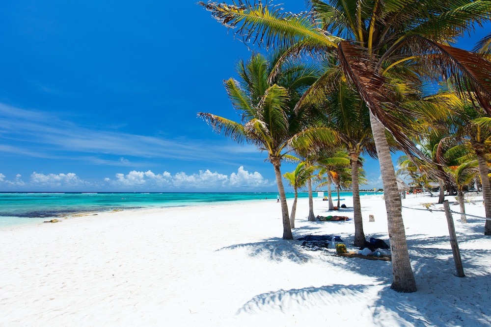 Akumal Natura Glamping 36/50