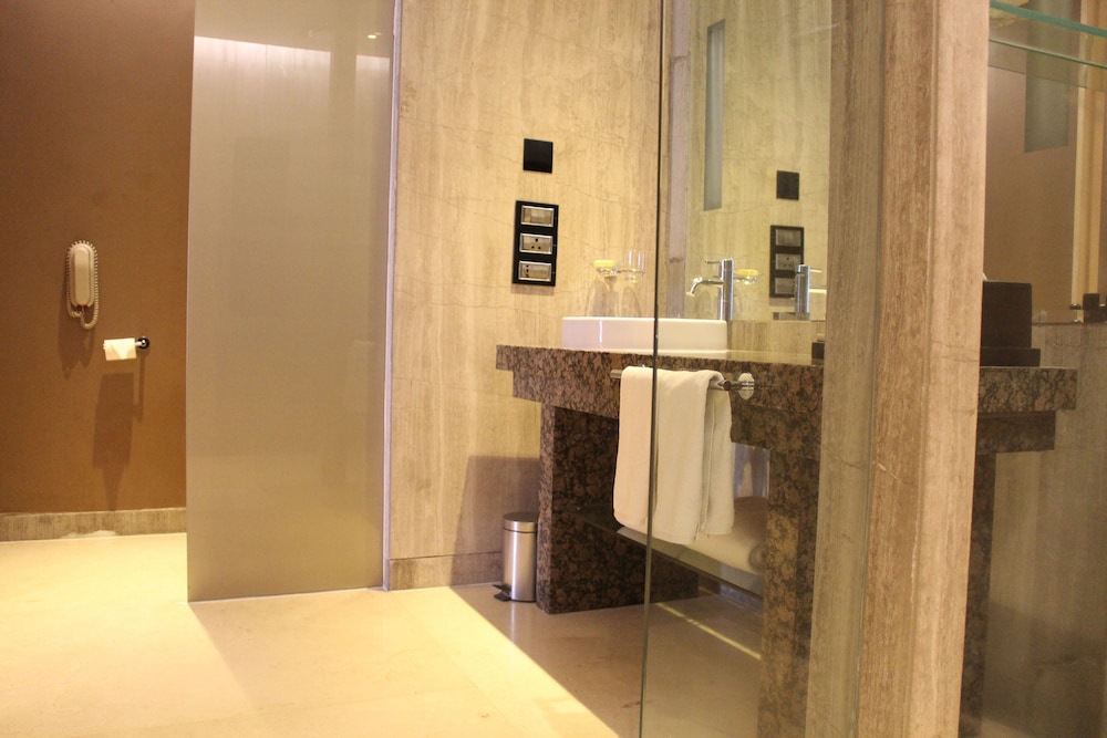 Hyatt Regency Pune Hotel and Residences 32/79