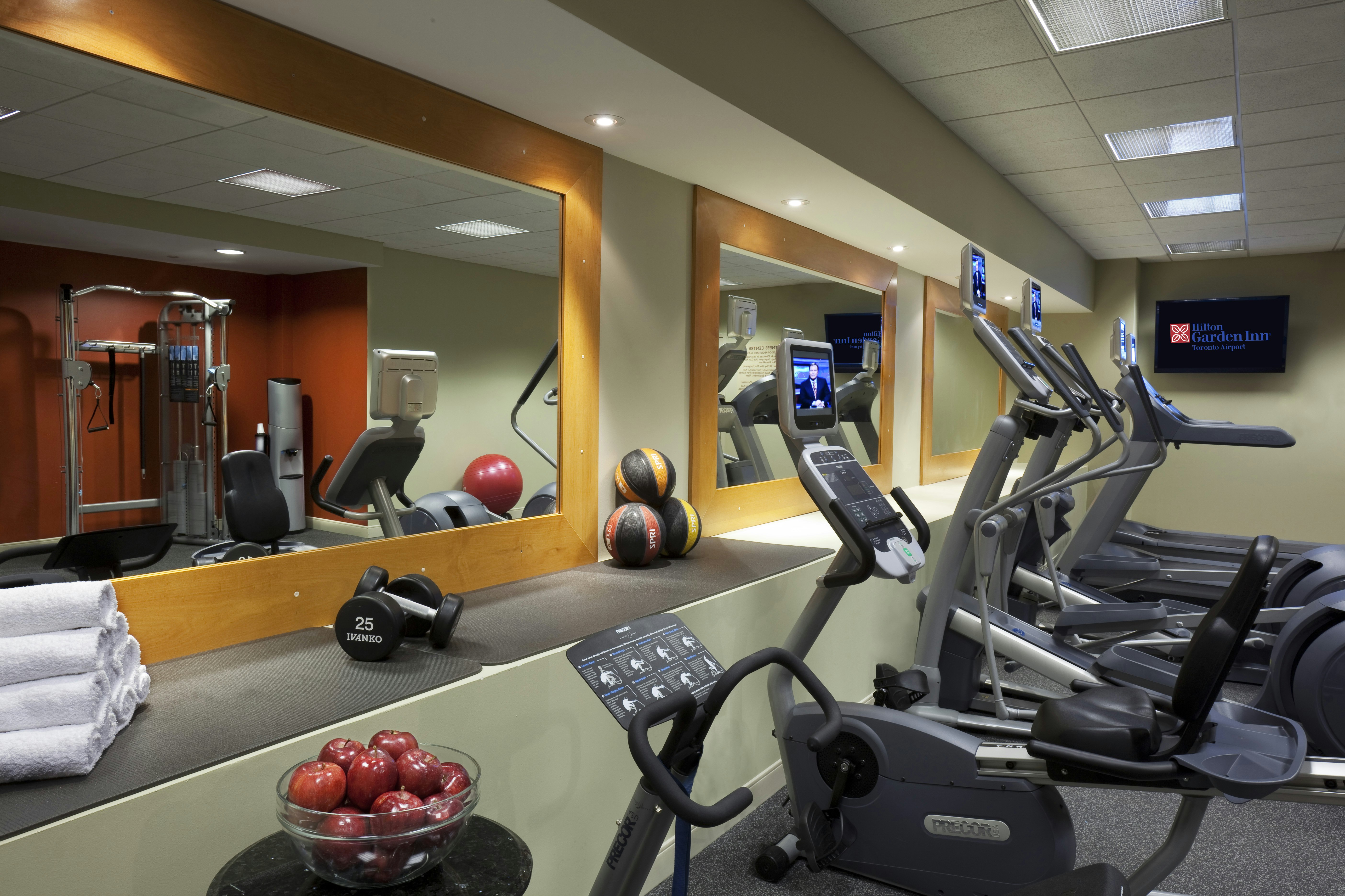 Hilton Garden Inn Toronto Airport 18/51