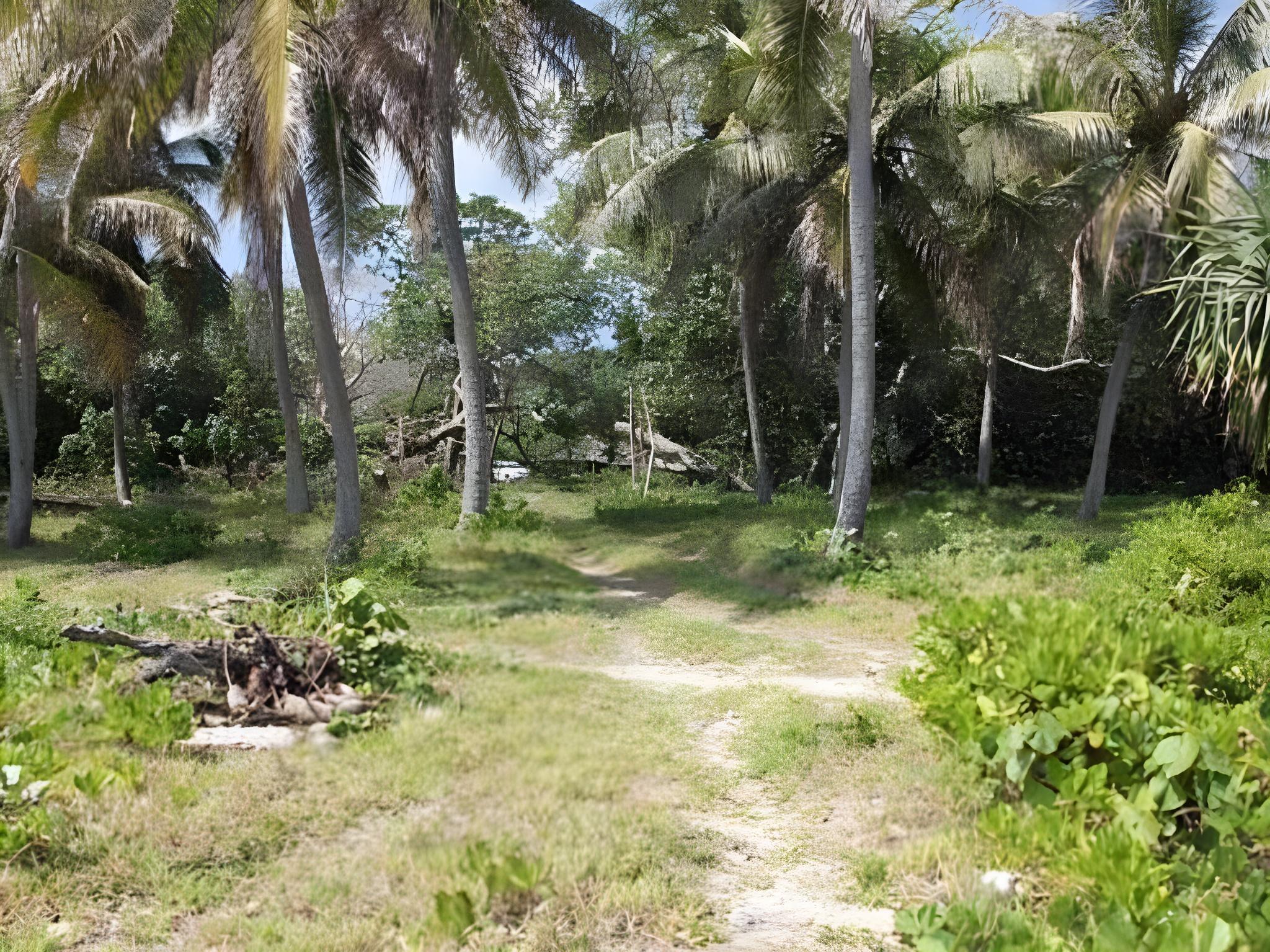 Alofa Beach Bungalows 17/22