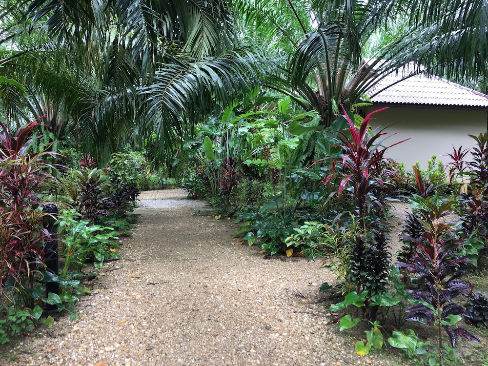 Khao Sok Palm Garden Resort 13/18
