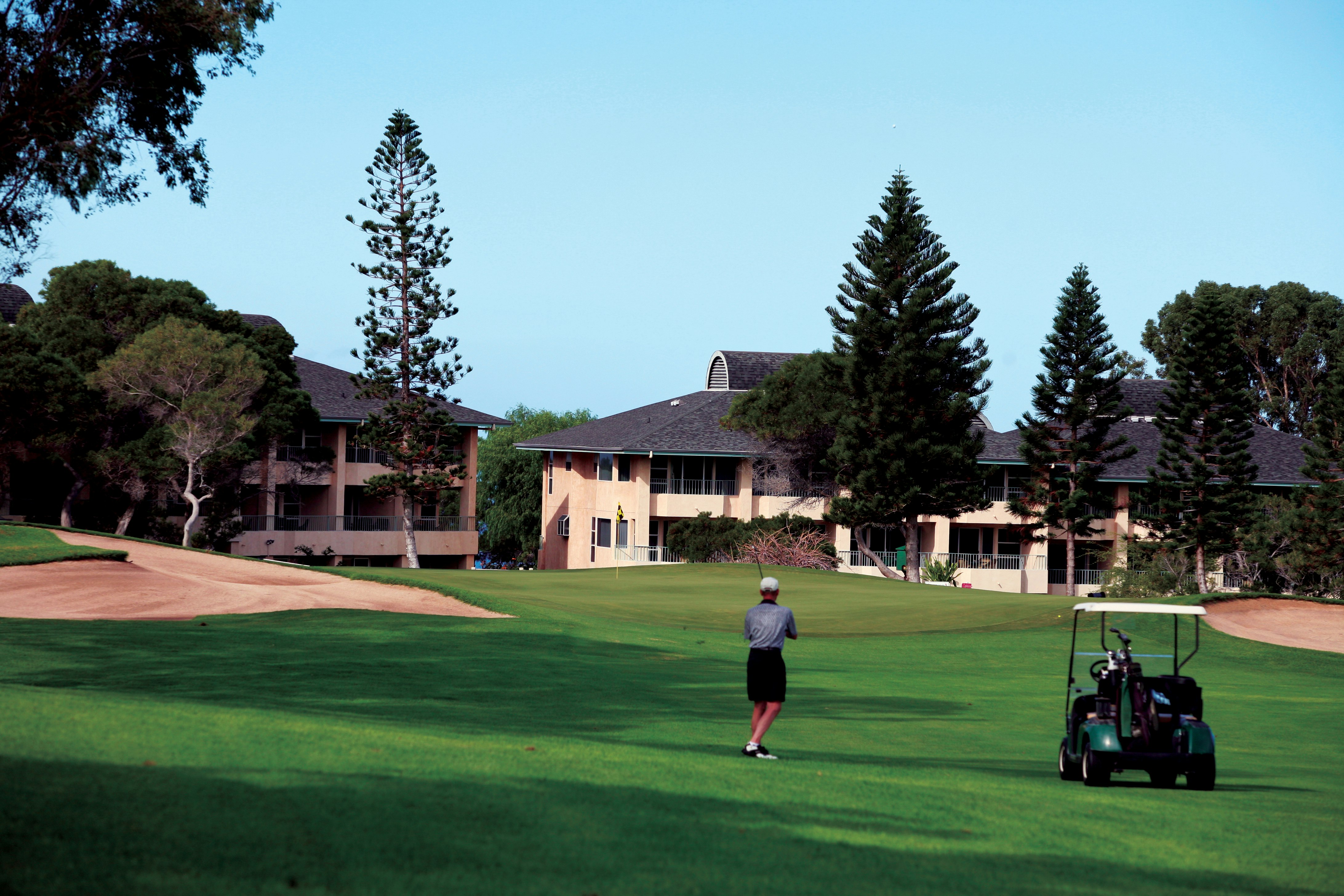 Paniolo Greens at Waikoloa Village 65/79