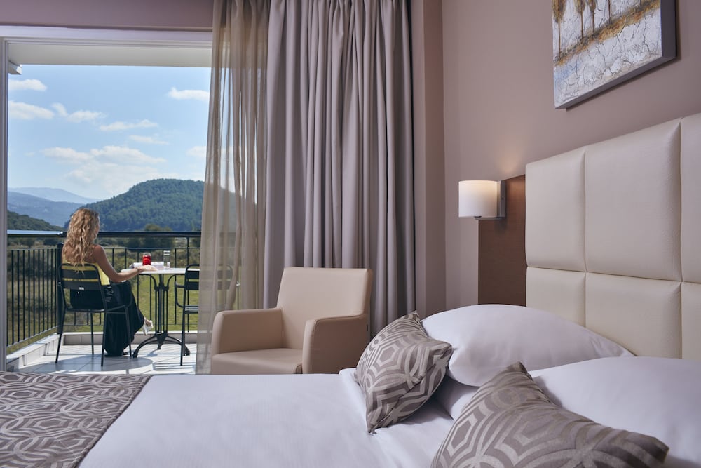 Aar Hotel & Spa Ioannina 16/50