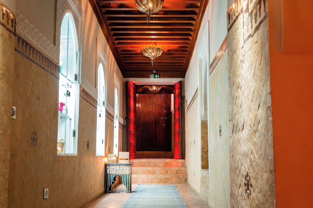 Riad Ysalis 10/50