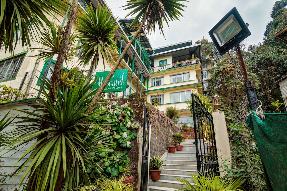 Muscatel Himalayan Resort 28/30