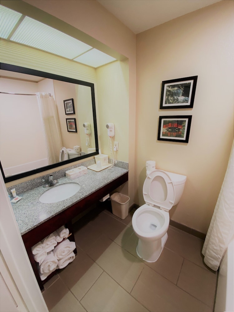 Comfort Inn Birmingham - Irondale 12/36