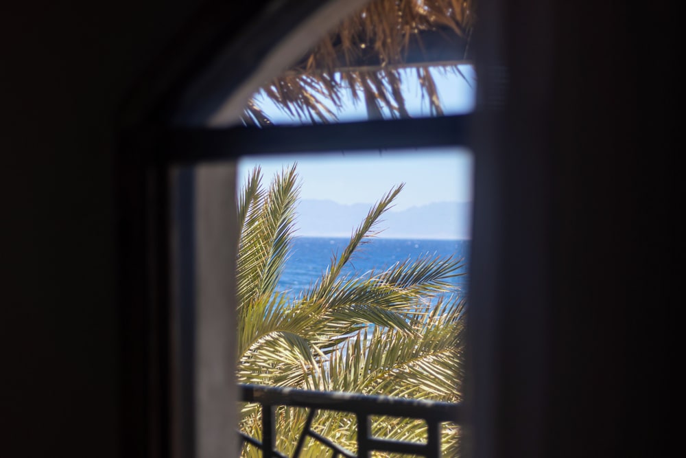 Bedouin Moon Hotel 21/50