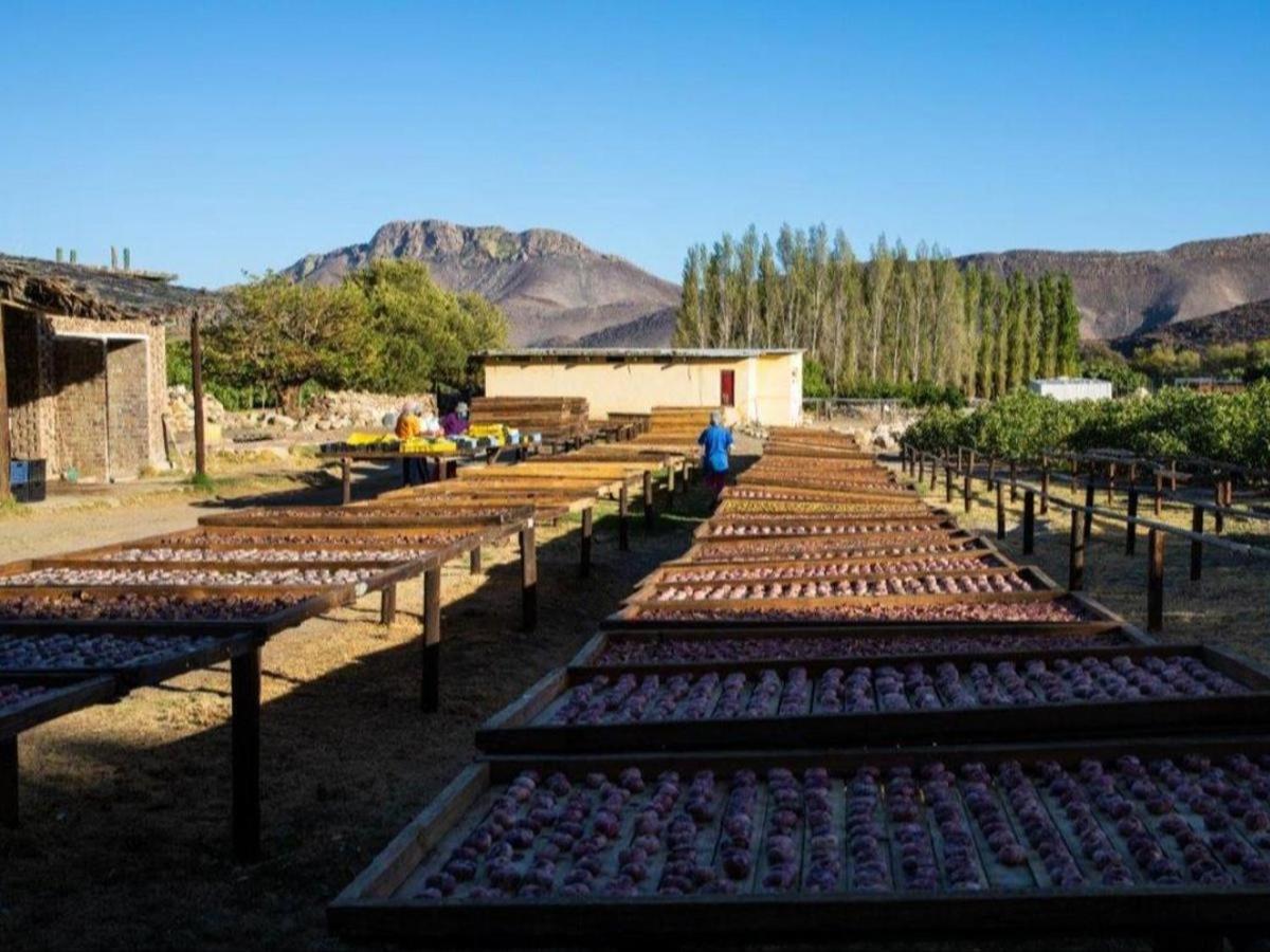 Weltevrede Fig Farm 12/13