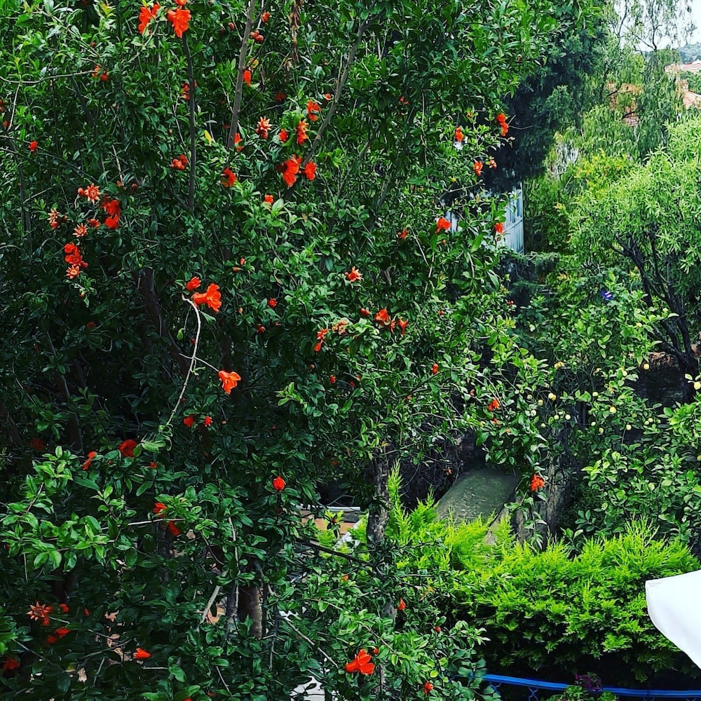 Pietra Otel Alacati 48/53