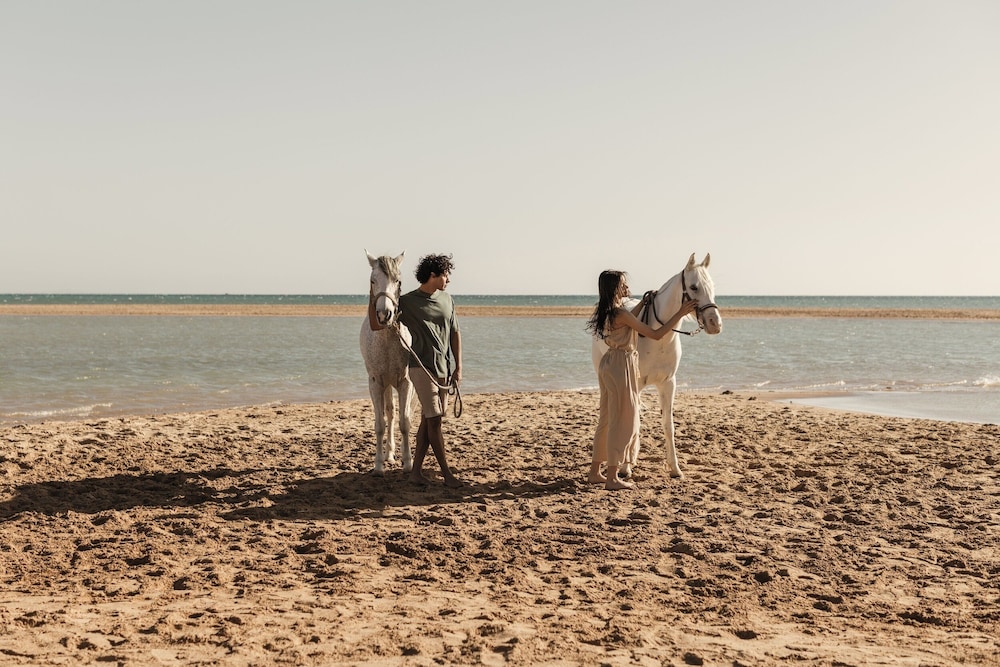 Casa Cook El Gouna 43/49