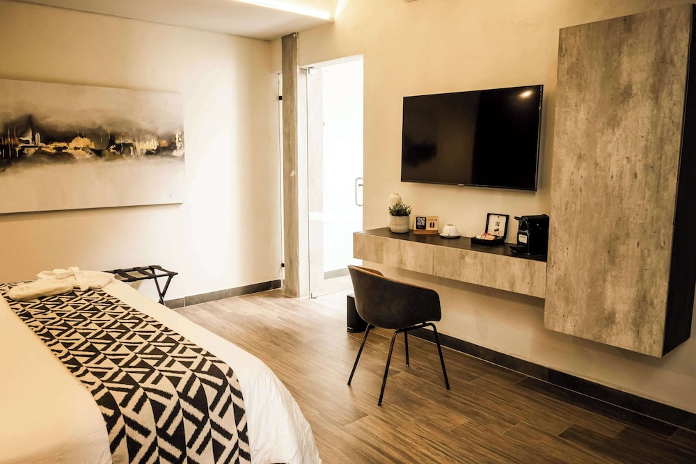 Esplendor by Wyndham San Luis Potosi Monarca 34/54